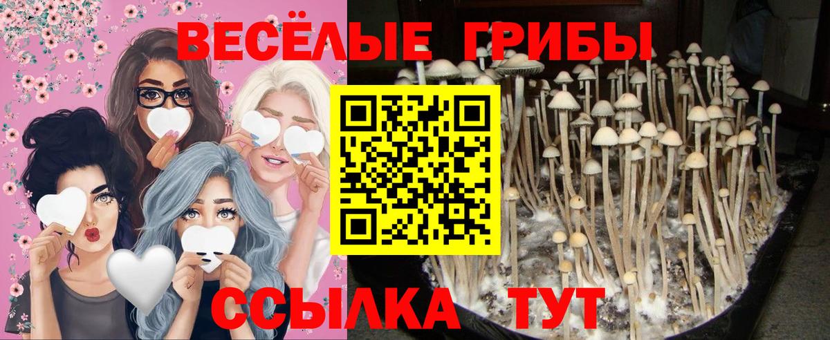 Советский  Гашиш  Метадон  Вход с VPN  Каннабис  Мефедрон  