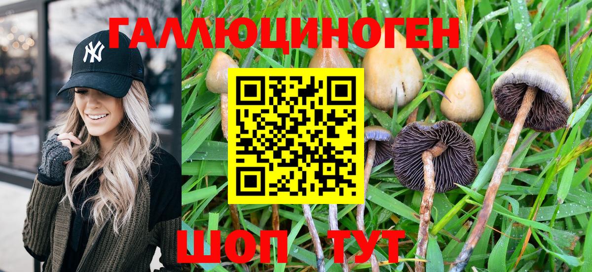 Псилоцибиновые грибы Psilocybe  Вход с VPN  как найти наркотики  Советский 